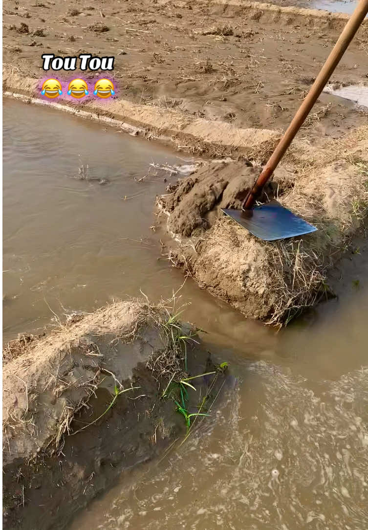 App na jis vet i ko call ky ha wo pani pharna ma massrof ha #trendingvoice #foryou #pindawallay😎 #punjab #chak86 