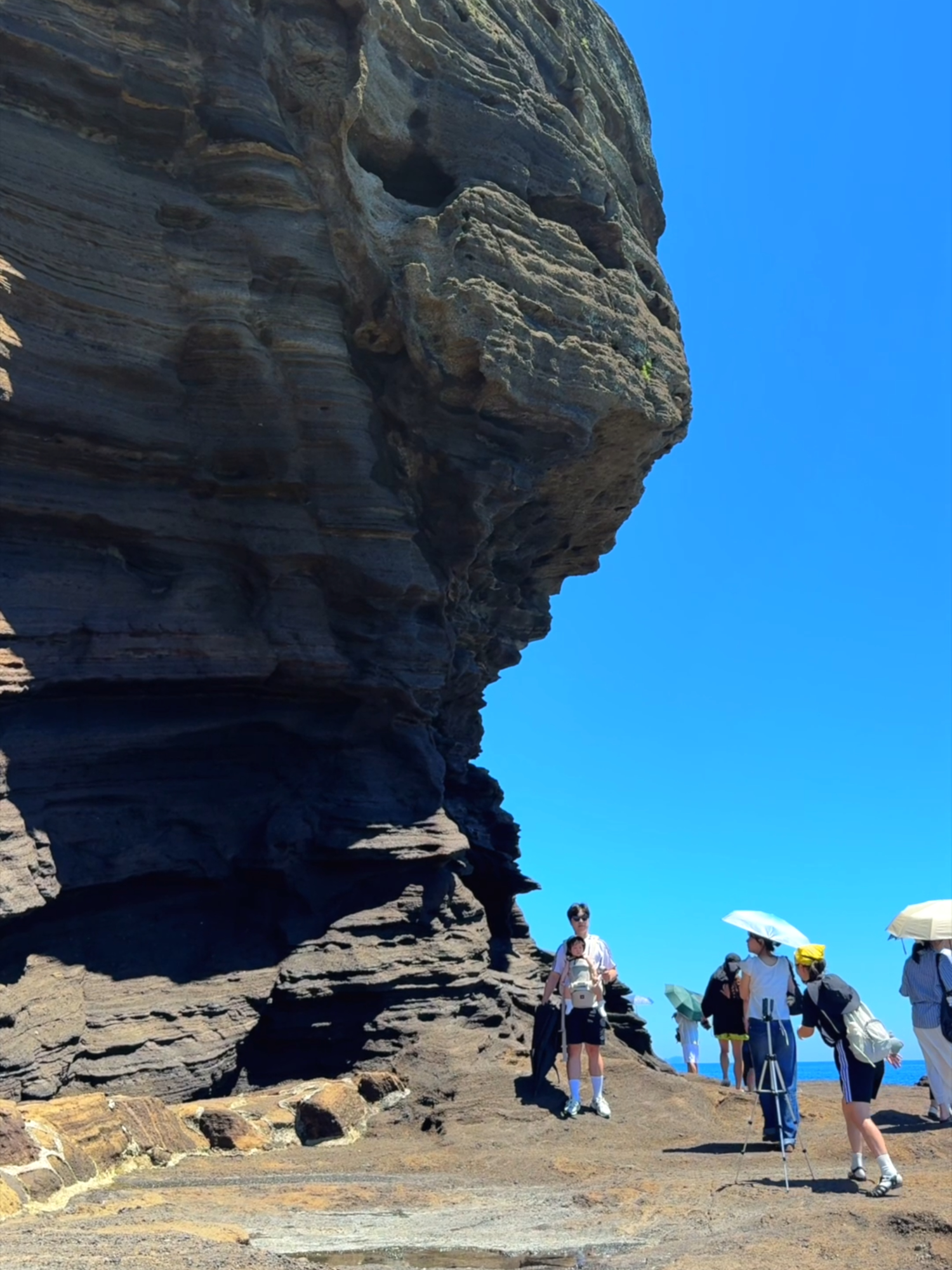 ⛰️Yongmeori Coast: Jeju’s “Korean Grand Canyon.” 👀 A dragon-shaped cliff diving into the ocean, carved by millions of years of waves. 📍 Yongmeori Coast 👉 Address: 112-3, Sagye-ri, Andeok-myeon, Seogwipo-si, Jeju 제주 서귀포시 안덕면 사계리 112-3 👉 Transportation: Jeju Airport (Gate 5) → Bus 182 → Get off at Changcheon-ri → Walk 216m → From Changcheon Elementary School stop, take Bus to Sanbangsan → Get off → Walk 358m 👉 Admission: Adults 2,000 KRW / Teens 1,000 KRW 📸 @mingddo.jeju ✅ Important! (Must-Read Before Visiting) - Entrance is highly restricted depending on weather, waves, and tide. Always check before visiting: IG: @6sot_official Phone: 064-760-6321 💡Tips: - Entry depends on tide level → check Jeju tide: https://www.tidetime.org/asia/south-korea/jeju.htm - The coastal path has uneven volcanic rocks → wear comfortable shoes, not sandals - Look for seafood stalls operated by haenyeo (Jeju women divers) selling freshly caught sea delicacies (sea cucumber, conch, etc.) Created in English; auto-translation might be inaccurate. #VisitJeju #TravelJeju #JejuIsland #SouthKorea #DragonHead