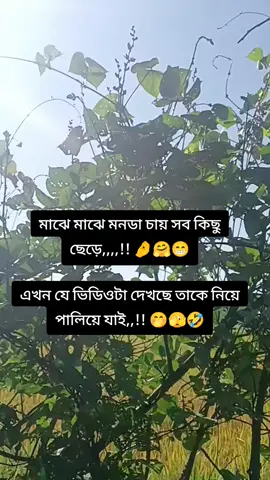 #foryou #foryoupage #funytiktok #10kviews #unfrezzmyaccount @mdbappi 96964 