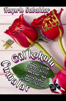 🌹⛓️🌹🌿🌸¨¨˜”°º★🌿🌸﷽ 🌸🌹🤲ﷲAMÎÎÎÎÎN YA RABBEL🌹 ALEMÎNﷲ🤲🌿#🕋🕌🤲🕌🌹❤️🕋🤲🏻 #beniöneçıkart #keşfet 