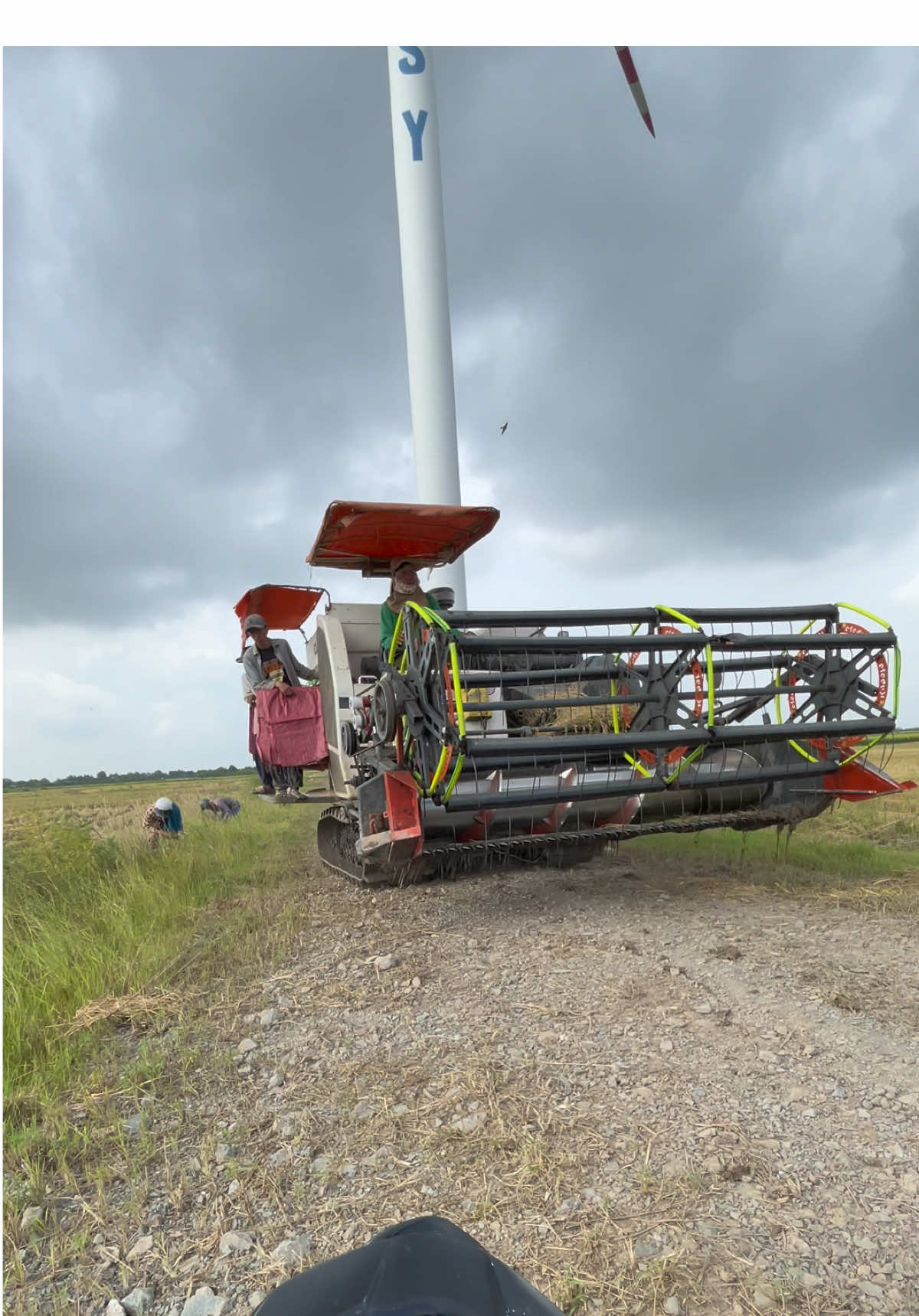 Flop quá rồi 👌🏻@Sói Đen @Thái Băng🐓 @Nhơn ka2k🐉68 @tí bánh bao @Thanh Phong 65ct @Hoàng Phi 1992 