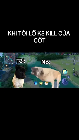 Xin lỗi mà😔@Huy Ro #lienquanmobile_garena #lienquan #meme #yfp #foryou 