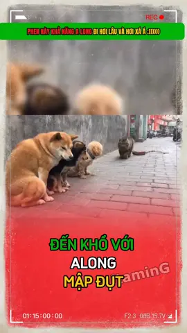 A ling đến 😐😐😐#giaitri #vitaming 