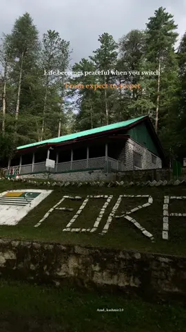 Agree🫶🍁 #standwithkashmir #growmyaccount #unfrezzmyaccount #foryou #foryoupage 