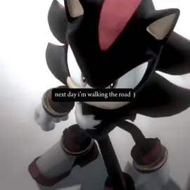 real #fyp #foryou #foryoupage #shadowthehedgehog #shadowthehedgehogedit ib: heysonic_