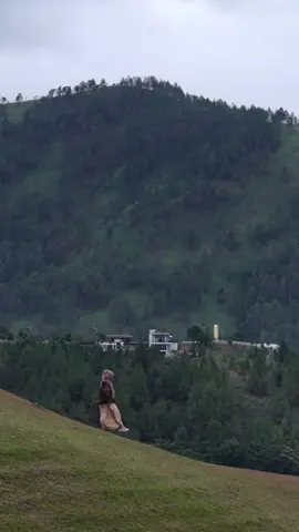 Mari Menyusun Bunga Seroja Di Danau Toba Yukk #malaysia #singapore #sabah #kualalumpur 