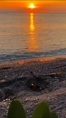 #bugistiktok #bugisfyp #fyp 