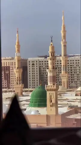 #الولدين #اكسبلورexplore #المدينه_المنوره #اللهم_صلي_على_نبينا_محمد @ابراهيم الكندري 