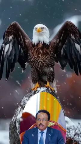 farmaajo alahayow umada soomaaliyed uku garagaar🤲🤲🤲🤲🤲🤲🤲🤲🤲🤲🤲