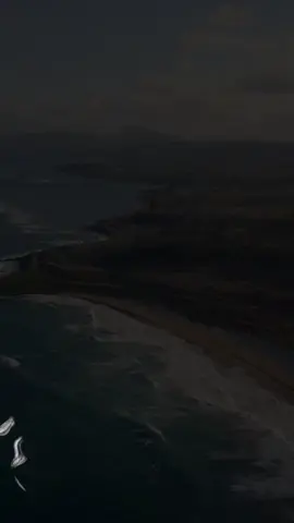 Mahnının adı Peyman Piran Gelmedin