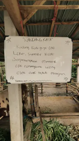 KANDANG KATA #CapCut #fyppppppppppppppppppppppp 