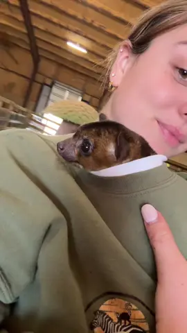 Let’s do some chores with me and pumpkin! 