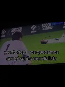 #paratiiiiiiiiiiiiiiiiiiiiiiiiiiiiiii #videoviral#fyp #fin del sueño mundialista😔