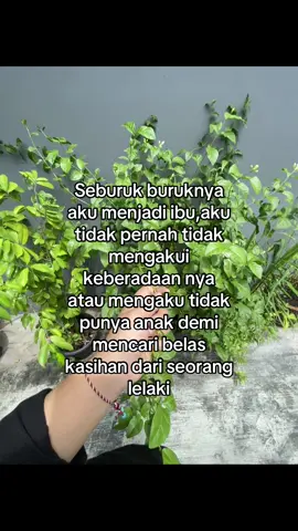 Karena jika tidak dengan anakku tidak menikah lagi pun tidak menjadi masalah😇 #fypシ゚ #fyppppppppppppppppppppppp 
