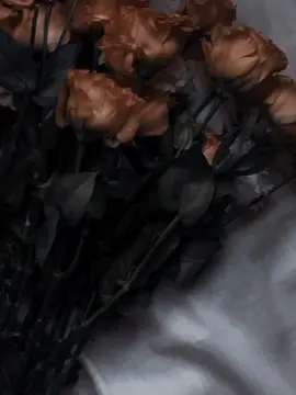 Ha na 💯🥺❤️‍🩹🪽  #foruyou #foruyou #fyp #unfreezemyacount 