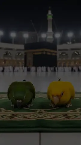 . allahumma sallay Ala #fypシ゚viral #fpy_tiktok #foryou #1millionaudition #deartiktokteamdontunderviewm 