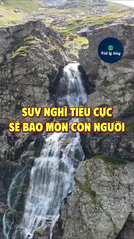 Suy nghĩ tiêu cực sẽ bào mòn con người #trietlysong 