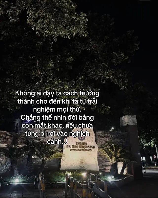 #pvd_van204 #xuhuong #tamtrang #fbtxuhuong 