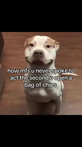 I know WE can RELATE to ts #fyp #fyppppppppppppppppppppppp #relatable #goviral #niche 