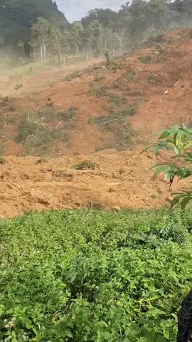 #đanang sạt lở tại thôn pứt .xã Hùng sơn .tp đà nẵng #xuhuong #xuhuongtiktok #