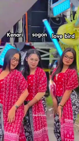 absen nih sampai mana vidio nya🙏#fyppppppppppppppppppppppp #CapCut #jokikonslet⚡️ #jantankonslet⚡️⚡️⚡️ #lovebirdmania 