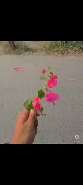 বোঝছেন ভাই❤️‍🩹👍 #vews_my_video_tiktok  #1millionaudition  #100k  #foryou  #foryou 