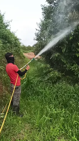 #vairal#kerjadijepang #musangking 