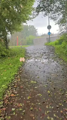 #صلوا_على_رسول_الله #کوردستان_سلێمانی_کەرکوک_هەولیر_دھۆك #زاخو_دهوك_هولير_سليماني_ئاكري_سيمي #لمانيا 