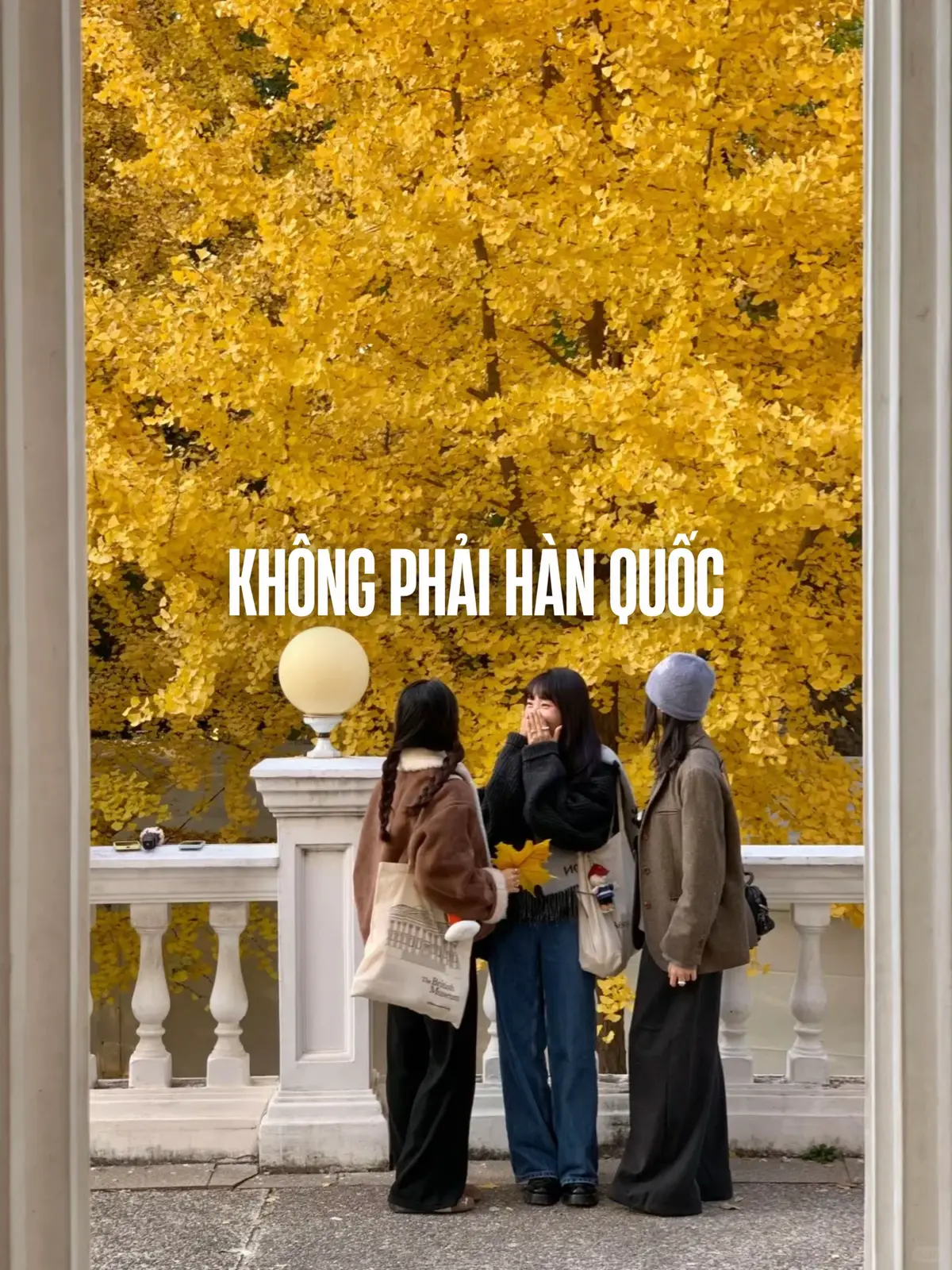 Không cần chỉnh màu gì lun đó 😮  Đã hiểu vì sao “vạn vật thua mùa thu Bắc Kinh” rùi ạaaaaa 🍂✨ #vitamindi #muathu #viral #backinh #beijing 