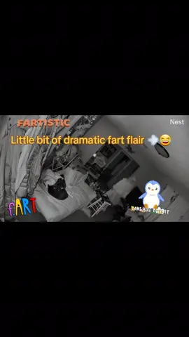 Lol! I startled my cat and almost fell down. That one had some power 😂😂😂😂💨💨💨 #fart #fartsarefunny #farting #farts #fyp 