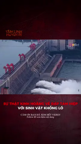 Sự Thật Kinh Hoàng Về Đập Tam Hiệp Với Sinh Vật Khổng Lồ #LearnOnTikTok #truyenma #kinhdi #tamlinhhuyenbi #xh 