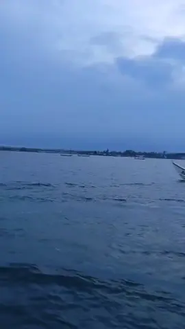 #landangan_situbondo🔥🔥🔥