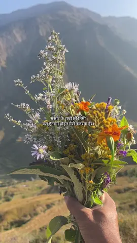 #fypシ #line 🌹❤️