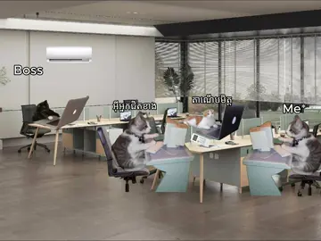 សង្គ្រាម​ម៉ាស៊ីន​ត្រជាក់​នៅOfficeអាបមីន😭😭 #ឆ្មាបែកថ្នាំ #fypシ #meme#catoran