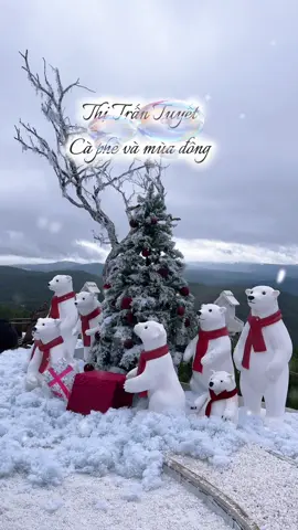 Giữa mùa đông dài, em chỉ nghe tiếng tim mình rơi theo những bông tuyết.#dalatlang #binhyen #muadong #thitrantuyet #quancaphedepdalat 