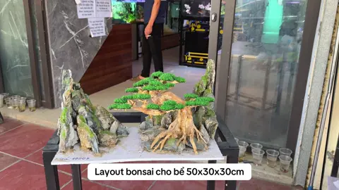 Layout bonsai cho bể 50x30x30cm