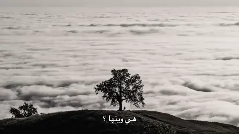 هيَّ وينها ؟ #fyp #foryou #شعر #like #follow 