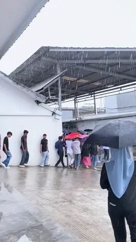 #ptyoungtreestella #foryou 