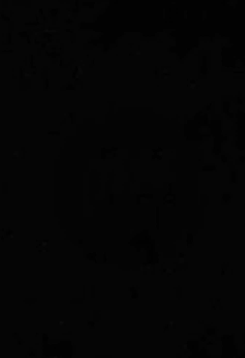 “em từng xem một người là thế giới..”