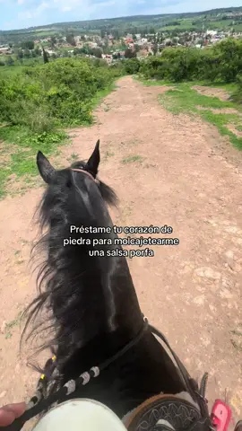 Nomas para la salsita🤠#paratii #amorderancho #caballos #humor 