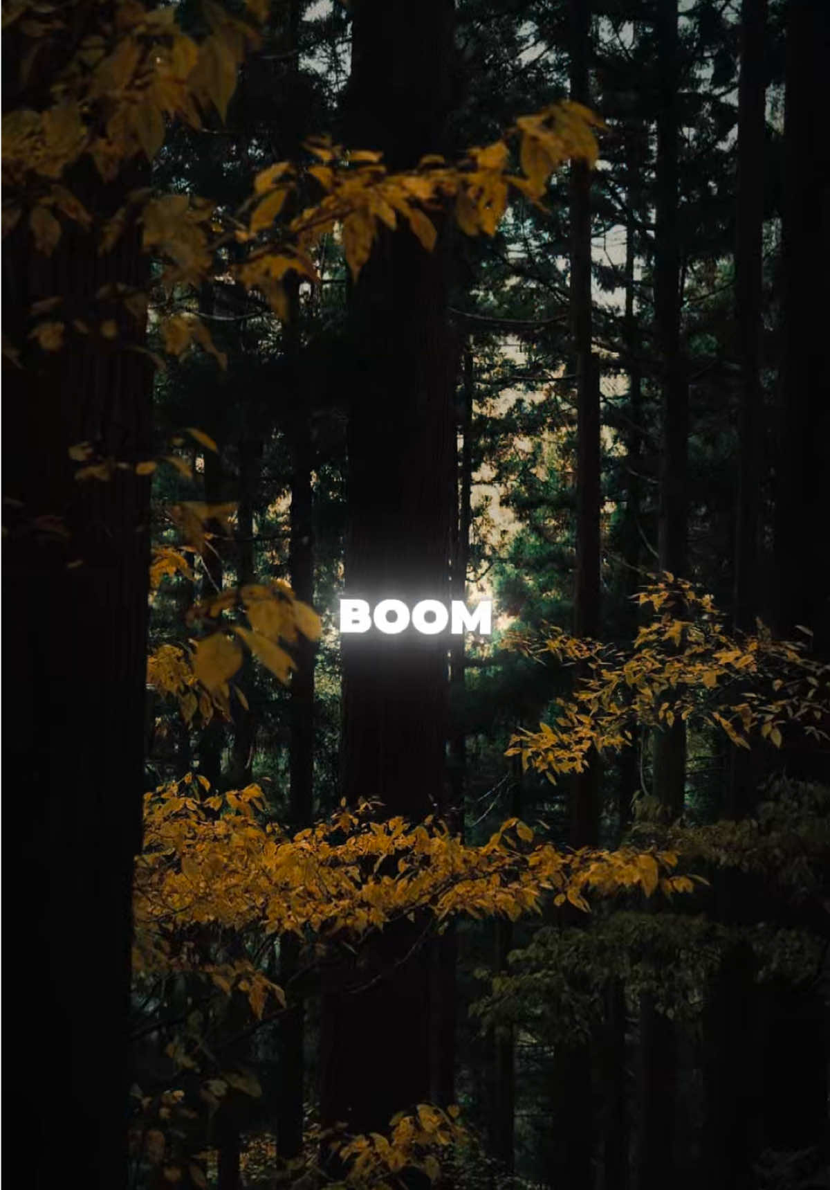 Boom Boom Boom Remix Nghe Cuốn Quá Đi #CapCut #maucapcut #xuhuong #thinhhanh #bietchua 