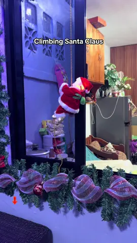 Battery Operated Climbing Santa Claus #santaclaus #climbingsantaclaus #christmasdecor #christmasdecorations #santa 