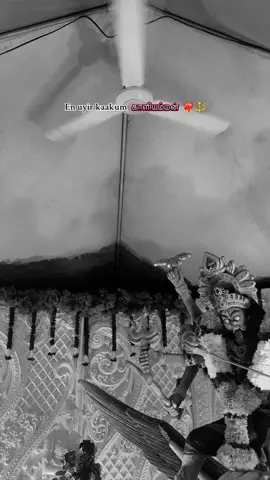 En Uyir Kaakum Kaliamman 🥺❤️‍🔥 #kaliammanthunai💫🙏🖤 #mayanakali #sentulkaliammantemple #kaliamman #sudukathukaliamma 