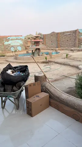 #creatorsearchinsights #bocil #sunda #saudiarabia🇸🇦 #fyp 