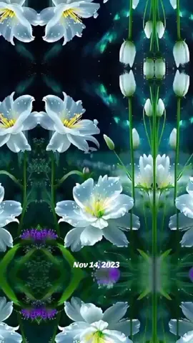 #onthisday #ချစ်သောလေးများ #မြန်မာပြည့်ကြီးအမြန်ဆုံးငြိမ်းချမ်းပါစေ 