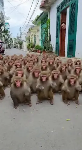 six seven 🥀 #aisora #ai #appbyGooglePlay