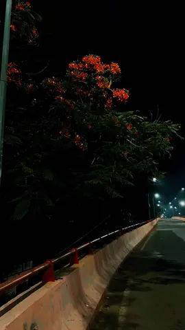 Uska Hun Us me Hu Use Hu Usi Ka Rehne 🥺👀😩 #lyrics_songs #tamasha #aestheticvibes #unfreezemyaccount #rocky____writes 