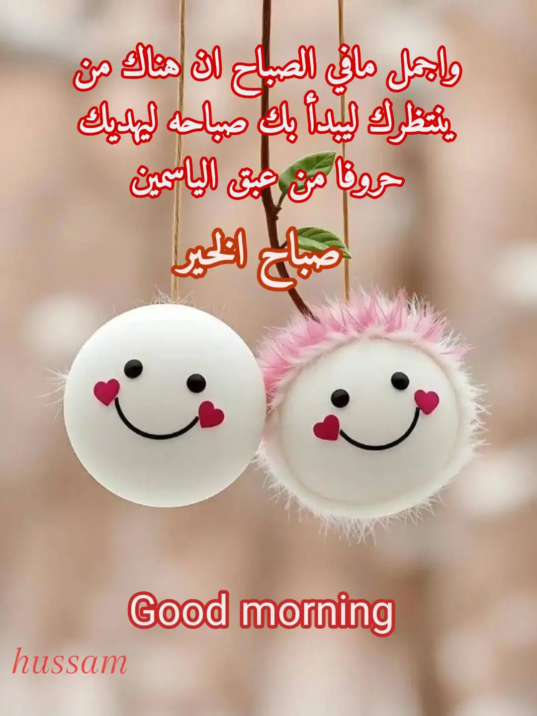 واجمل مافي الصباح أن هناك من ينتظرك ليبدأ بك صباحه، ليهديك حروفا من عبق الياسمين صباح الخير 