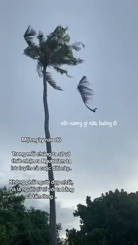 Bạn biết không… Có những mối quan hệ chẳng còn gì ngoài tổn thương, nhưng ta vẫn cố chấp bám víu. Không phải vì ta không nhận ra, mà vì ta không muốn thừa nhận rằng – đã đến lúc phải buông. Ta tự dối lòng rằng chỉ cần yêu đủ nhiều, kiên nhẫn đủ lâu, hy sinh đủ lớn – người kia sẽ thay đổi, sẽ biết trân trọng, sẽ quay về với ta như thuở ban đầu. Nhưng sự thật là – người ta không thay đổi vì bạn muốn. Họ chỉ thay đổi khi họ muốn. Và nếu đến tận bây giờ, mọi cố gắng của bạn vẫn chỉ đổi lại sự im lặng, sự lạnh nhạt, hay những lời làm đau, thì có lẽ… bạn đang chiến đấu trong một cuộc chiến mà chỉ có mình bạn tham gia. Bạn không thể cứu một người không muốn được cứu. Cũng như bạn không thể giữ một bàn tay đã thôi muốn nắm lấy bạn. Càng cố níu, bạn càng tổn thương. Càng gồng, bạn càng đánh mất chính mình. Và đau đớn nhất – là khi bạn vẫn gọi đó là tình yêu. Hãy tự hỏi mình một lần: “Mình còn định chịu đựng đến bao giờ?” Một mối quan hệ đáng để ở lại – là khi nó khiến bạn bình yên. Khi bạn được là chính mình, khi bạn cảm thấy được yêu, được trân trọng, khi bạn thấy mình trưởng thành hơn chứ không phải kiệt quệ hơn mỗi ngày. Nếu tình yêu khiến bạn mệt mỏi, khiến bạn khóc nhiều hơn cười, thì đó không còn là yêu nữa – đó là sự dày vò mang tên cố chấp. Bạn có quyền dừng lại. Bạn có quyền nói “đủ rồi”. Bạn có quyền rời đi – không phải vì yếu đuối, mà vì bạn đủ mạnh mẽ để chọn bình yên cho trái tim mình. Buông tay không phải là thất bại. Buông tay là khi bạn biết rằng: con đường này không còn dành cho mình, và hạnh phúc thật sự… không nằm trong tay người khác, mà nằm trong tay chính bạn. #viral #luytinh #fyp #xh #thinhhanh 