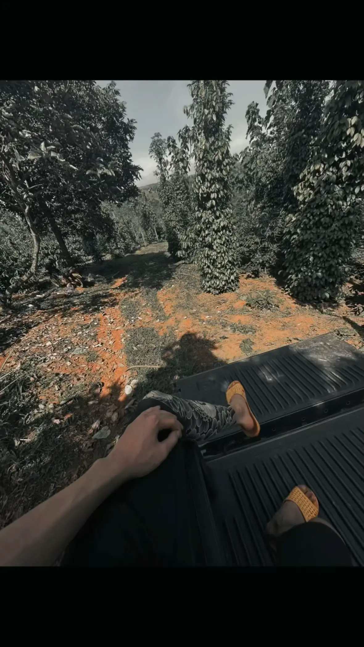 Em đang điều khiển anh,em biết ko#xuhuongtiktok #chill #xuhuong 